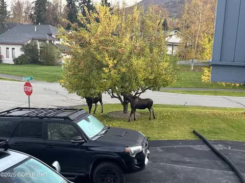 Other - 19250 Babrof Dr, Eagle River, AK 99577 photo 11 of 12