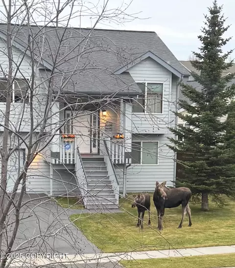 5720 Kenai Fjords Loop, Anchorage, AK 99502