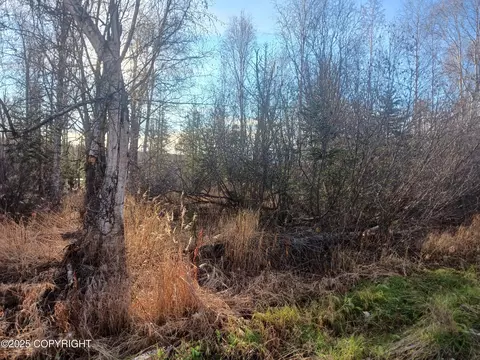 4312 S Gon Fishin Dr, Wasilla, AK 99623