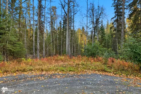 000 Ansel St, Soldotna, AK 99669