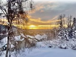 Other - 11114 Kaskanak Dr, Eagle River, AK 99577 photo 16 of 18