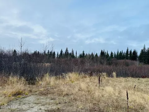 34191 Chapman St, Anchor Point, AK 99556