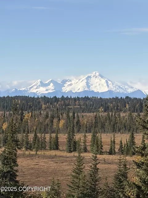 Tract 20 Zeke Street, Ninilchik, AK 99639