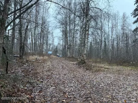 49364 S Bendapole Rd, Willow, AK 99688