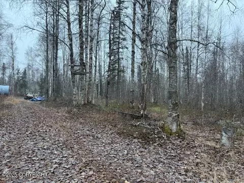 49364 S Bendapole Rd, Willow, AK 99688 photo 2