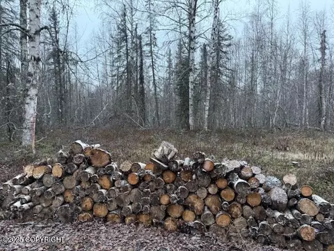 49364 S Bendapole Rd, Willow, AK 99688 photo 5