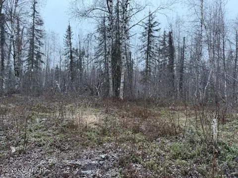 49364 S Bendapole Rd, Willow, AK 99688 photo 7