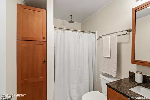 Bath - 16622 Riddell Cir, Eagle River, AK 99577 photo 3 of 3