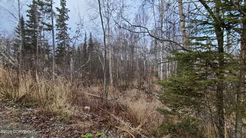 9111 W Sammie Cir, Wasilla, AK 99623