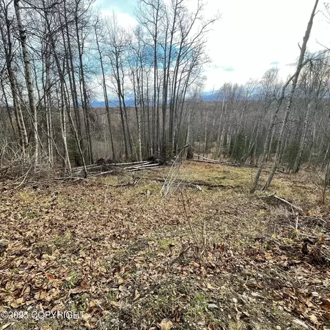 5500 W Birch Harbor Dr, Wasilla, AK 99623