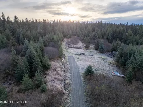 41176 Char Ct, Homer, AK 99603