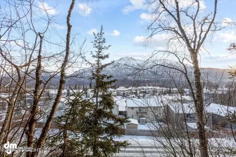20170 Eagles Nest Ct, Eagle River, AK 99577 photo 22