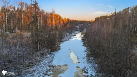 49168 S Hunter Dr, Willow, AK 99688