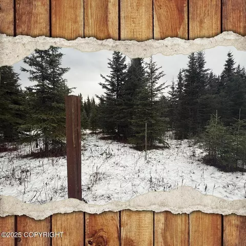 65201 Chamberlain Ave, Ninilchik, AK 99639