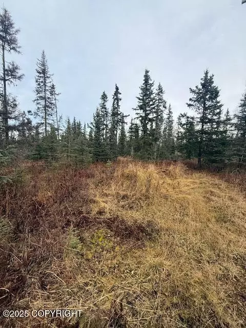 123 Johnny Rd, Nikiskinorth Kenai, AK 99611