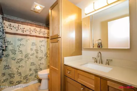 10285 Arborvitae Dr, Anchorage, AK 99507 photo 25