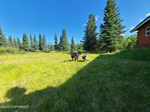 L11 B3 Tri Valley, Healy, AK 99743