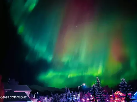 Other - 20003 Highland Ridge Dr, Eagle River, AK 99577 photo 18 of 18