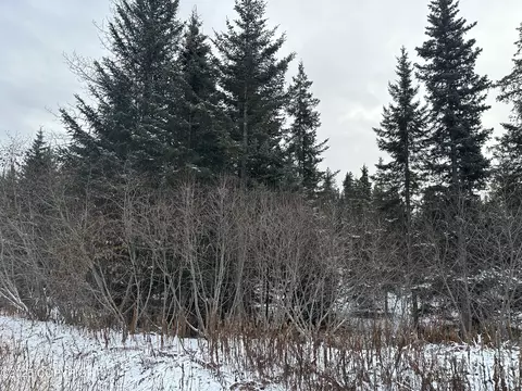 000 Old Sterling Hwy, Anchor Point, AK 99556