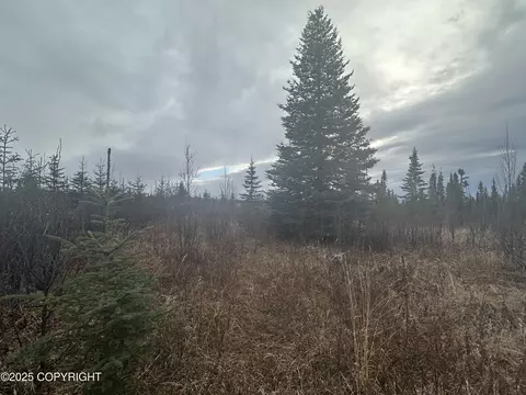 000 Matson St, Ninilchik, AK 99639 photo 12