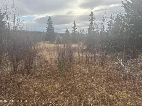 000 Matson St, Ninilchik, AK 99639 photo 5