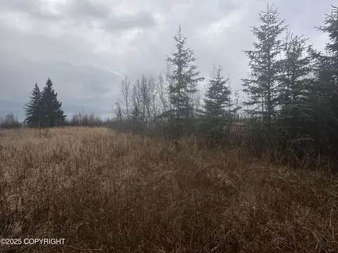 000 Matson St, Ninilchik, AK 99639 photo 14