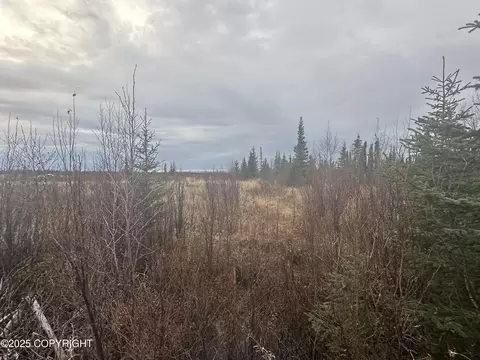 000 Matson St, Ninilchik, AK 99639 photo 13
