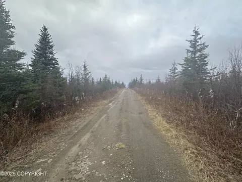 000 Matson St, Ninilchik, AK 99639 photo 4