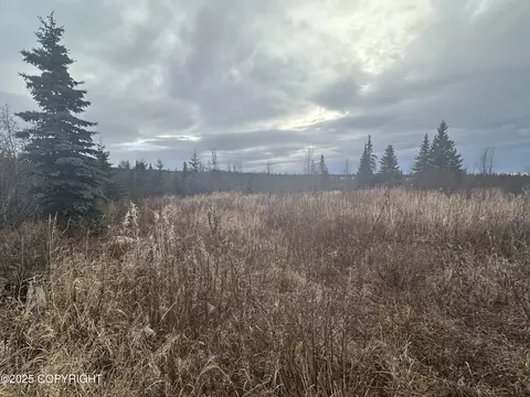 000 Matson St, Ninilchik, AK 99639