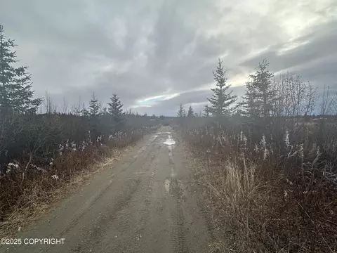000 Matson St, Ninilchik, AK 99639 photo 3