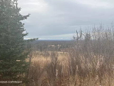 000 Matson St, Ninilchik, AK 99639 photo 9