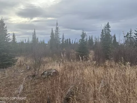 000 Matson St, Ninilchik, AK 99639 photo 6