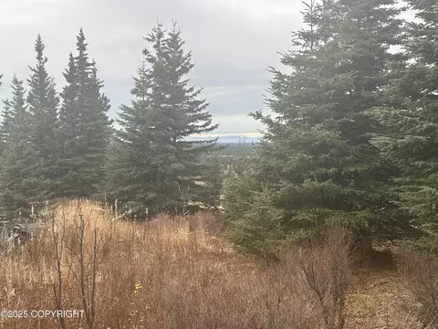 000 Matson St, Ninilchik, AK 99639 photo 8