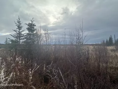 000 Matson St, Ninilchik, AK 99639 photo 7