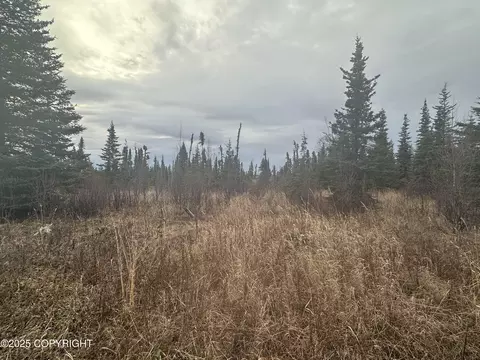 000 Matson St, Ninilchik, AK 99639 photo 11