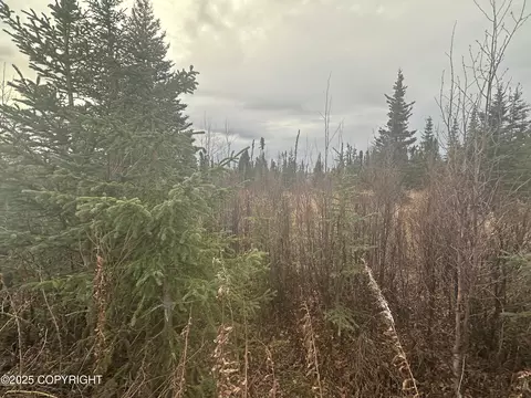 000 Matson St, Ninilchik, AK 99639 photo 10