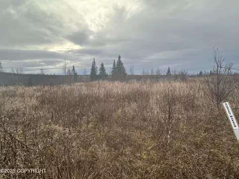 000 Matson St, Ninilchik, AK 99639 photo 2
