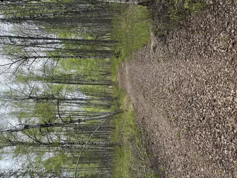15714 E Angler Dr, Willow, AK 99688 photo 7