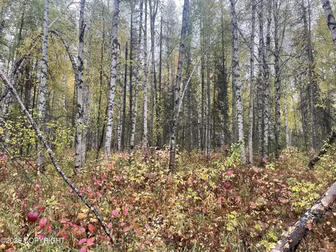 15714 E Angler Dr, Willow, AK 99688 photo 2