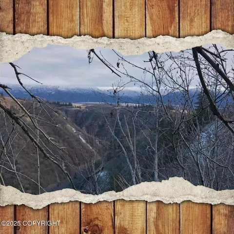 82-215 Alaska State Land Survey, Homer, AK 99603