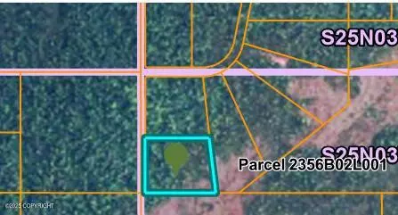 B2 L1 South Bald Mountain, Talkeetna, AK 99676