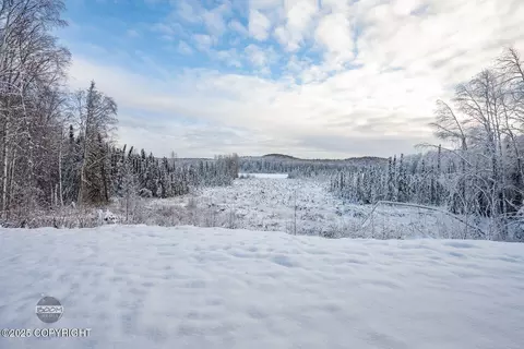 Other - 10309 N Easy St, Willow, AK 99688 photo 2 of 10