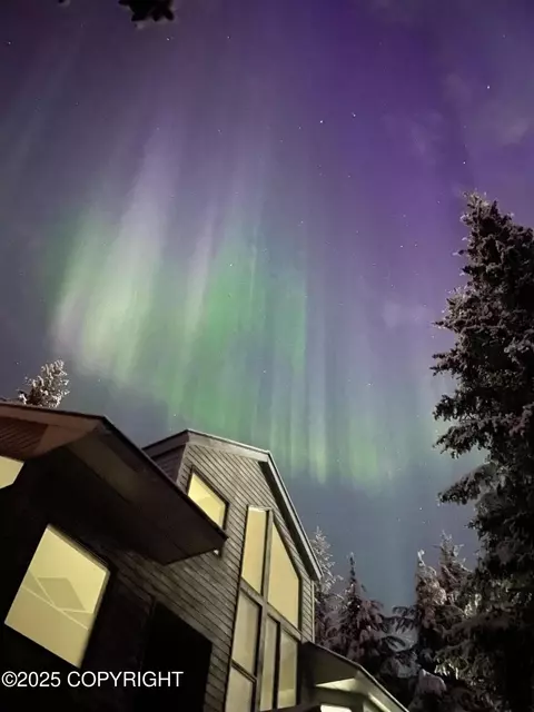 Exterior - 260 Vail Dr, Girdwood, AK 99587 photo 4 of 4