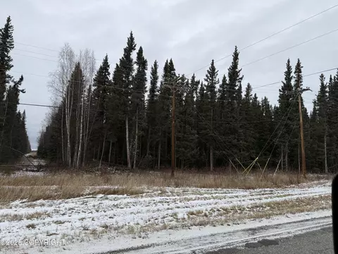 000 Tanana Loop Ext, Delta Junction, AK 99737 photo 7