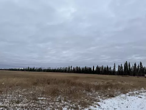 000 Tanana Loop Ext, Delta Junction, AK 99737 photo 6
