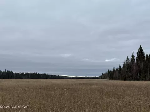 000 Tanana Loop Ext, Delta Junction, AK 99737