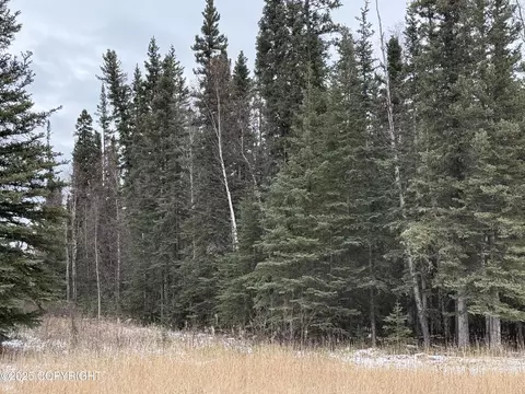 000 Tanana Loop Ext, Delta Junction, AK 99737 photo 5