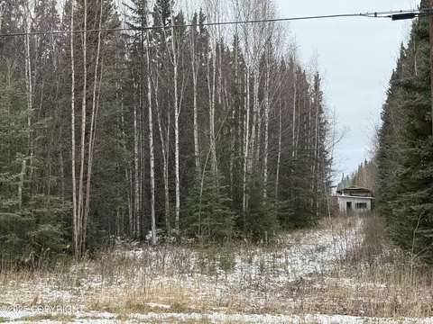 000 Tanana Loop Ext, Delta Junction, AK 99737 photo 8