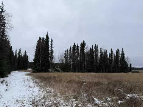 000 Tanana Loop Ext, Delta Junction, AK 99737 photo 4