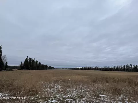 000 Tanana Loop Ext, Delta Junction, AK 99737 photo 3